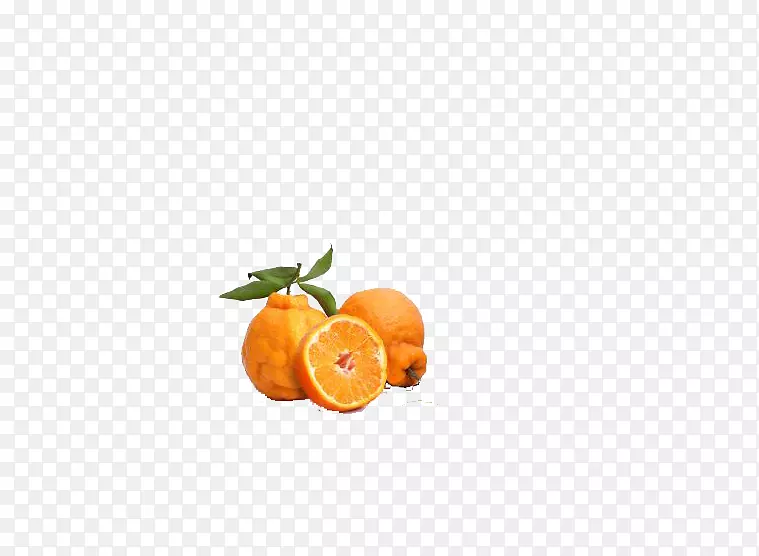 三个橙色四川特色水果丑桔
