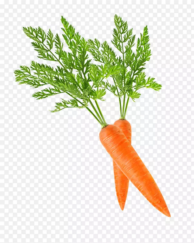 植物食材胡萝卜