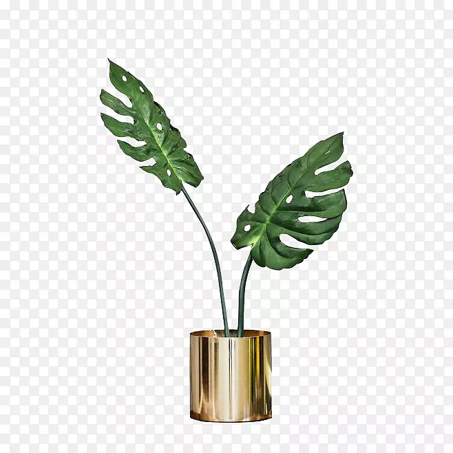 热带植物金属盆栽