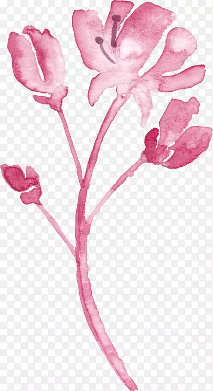 粉色的一株花
