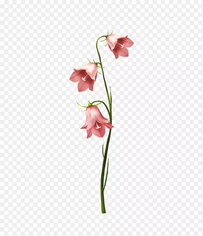 粉色水彩手绘三朵花