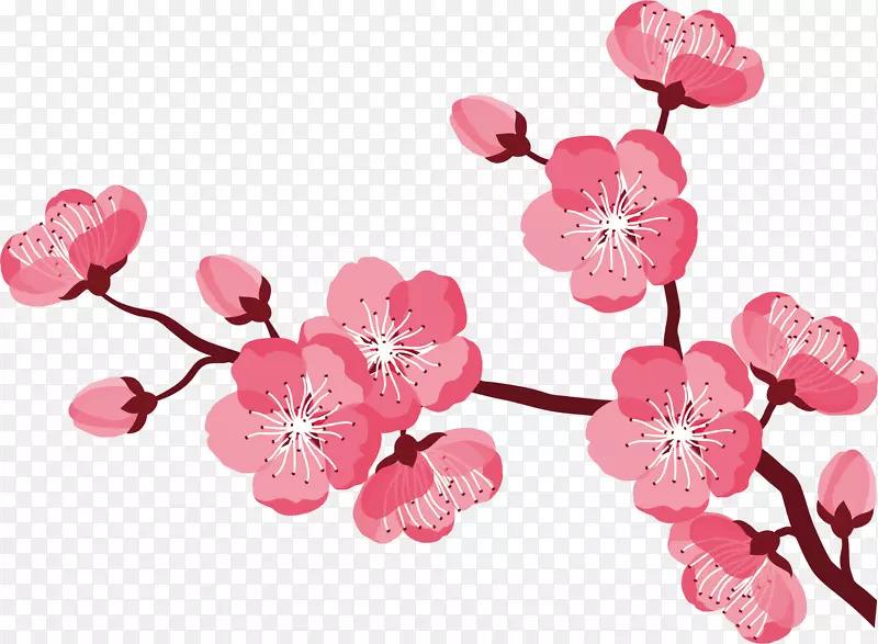 矢量图粉色水彩樱花
