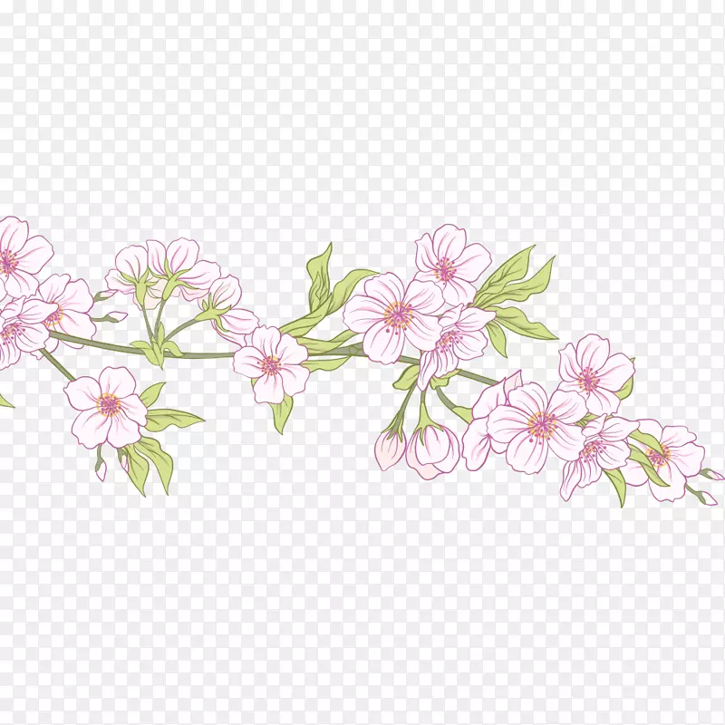 矢量手绘樱花树枝插画