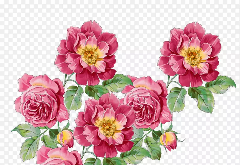 花卉