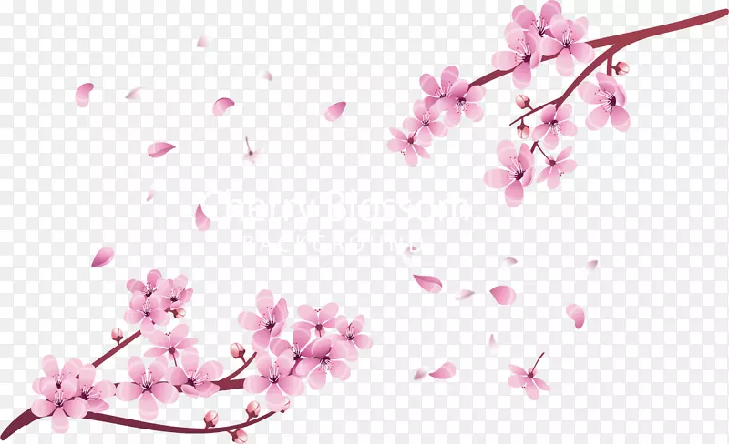 粉红浪漫樱花树枝