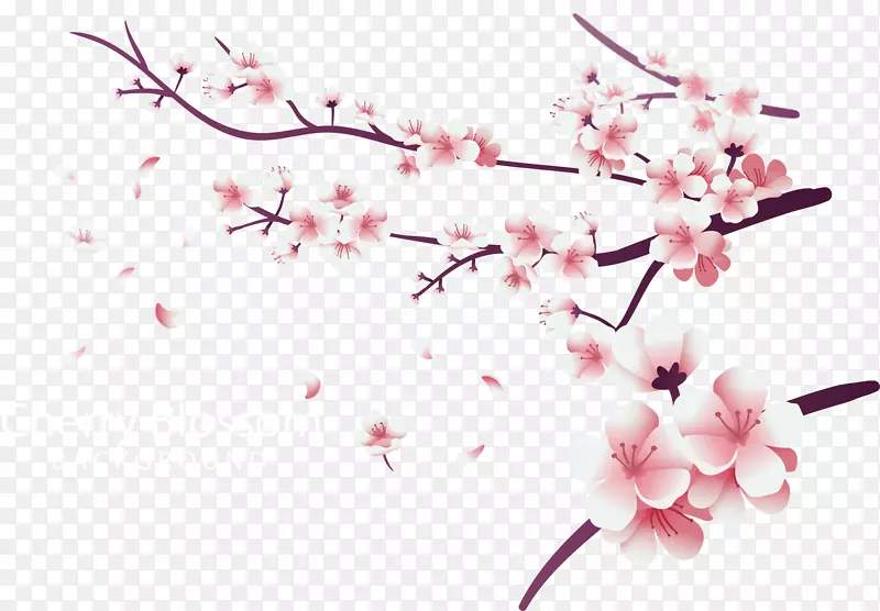 浪漫粉红樱花树枝