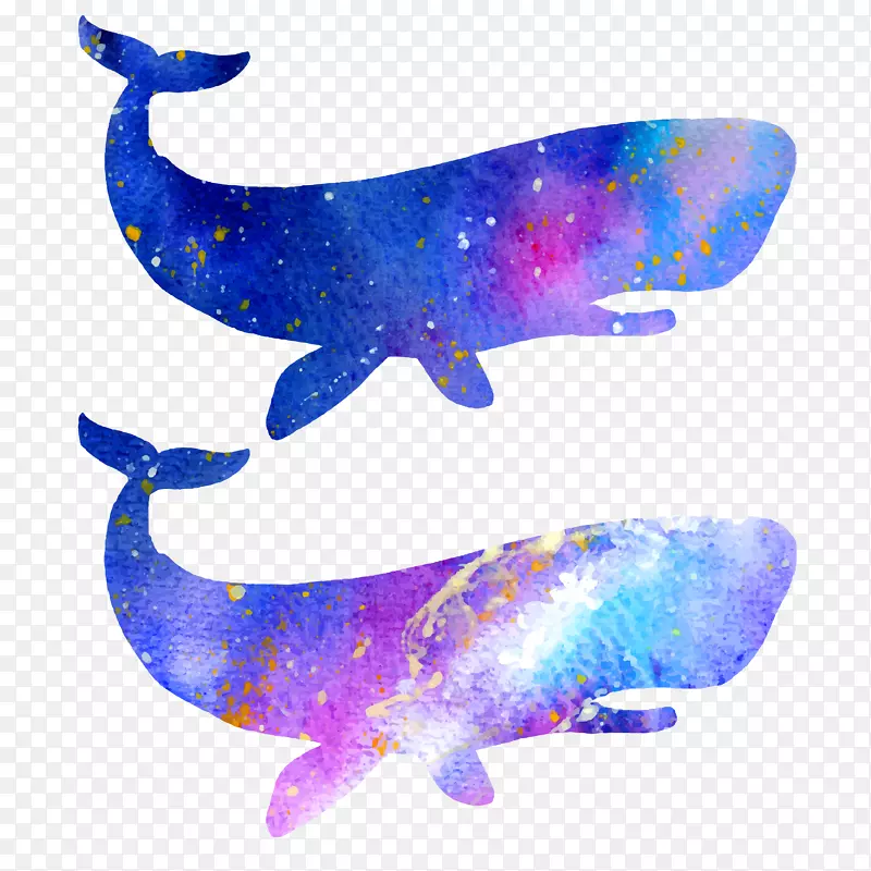 蓝色水彩风两头鲸鱼