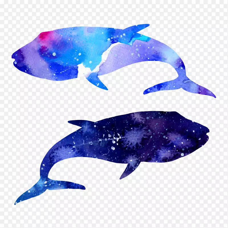 蓝色鲸鱼两头