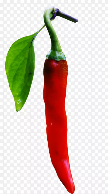 红辣椒png