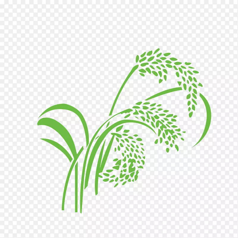 手绘农作物稻穗素材