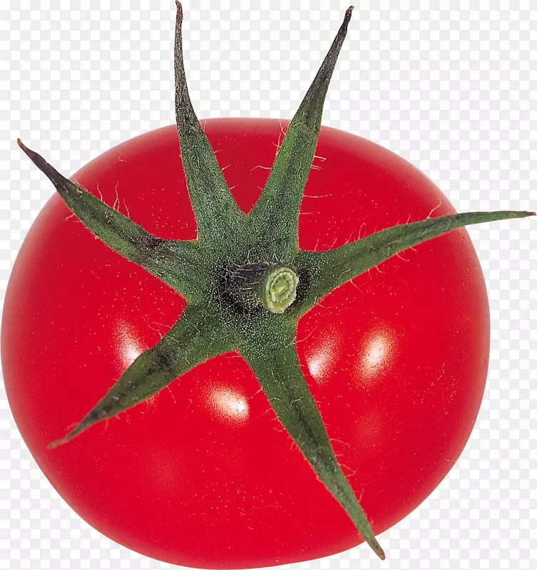 鲜红西红柿圣女果番茄