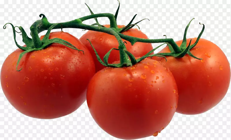 新鲜西红柿番茄圣女果