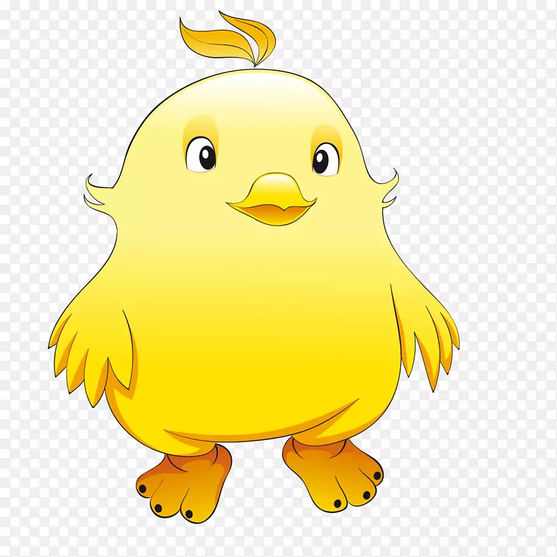 卡通黄色的小鸡动物设计
