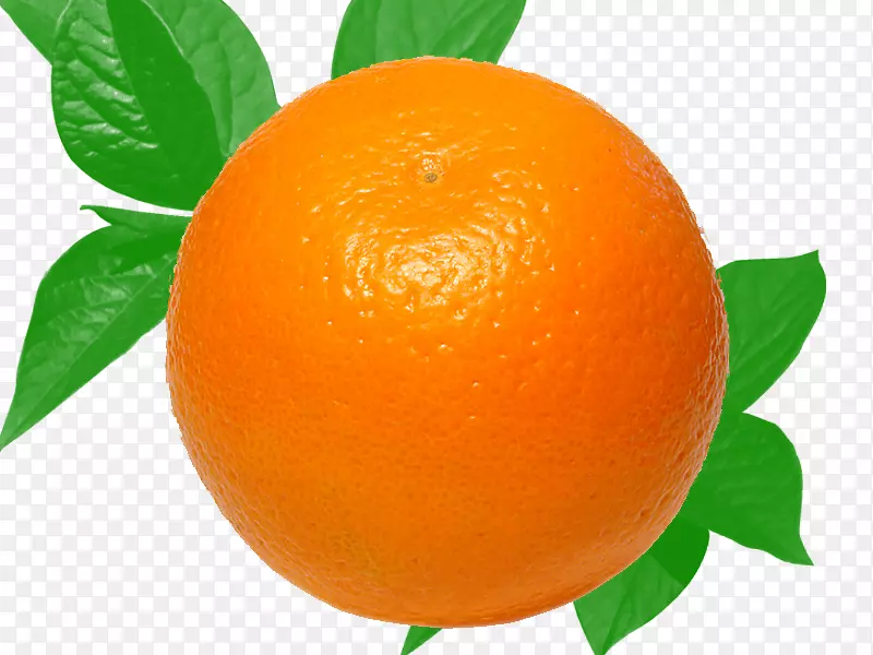 完整橘子立体素材