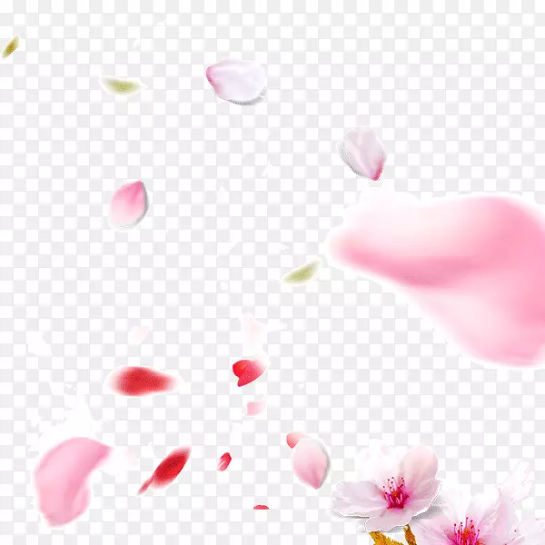 粉色清新花瓣飘舞