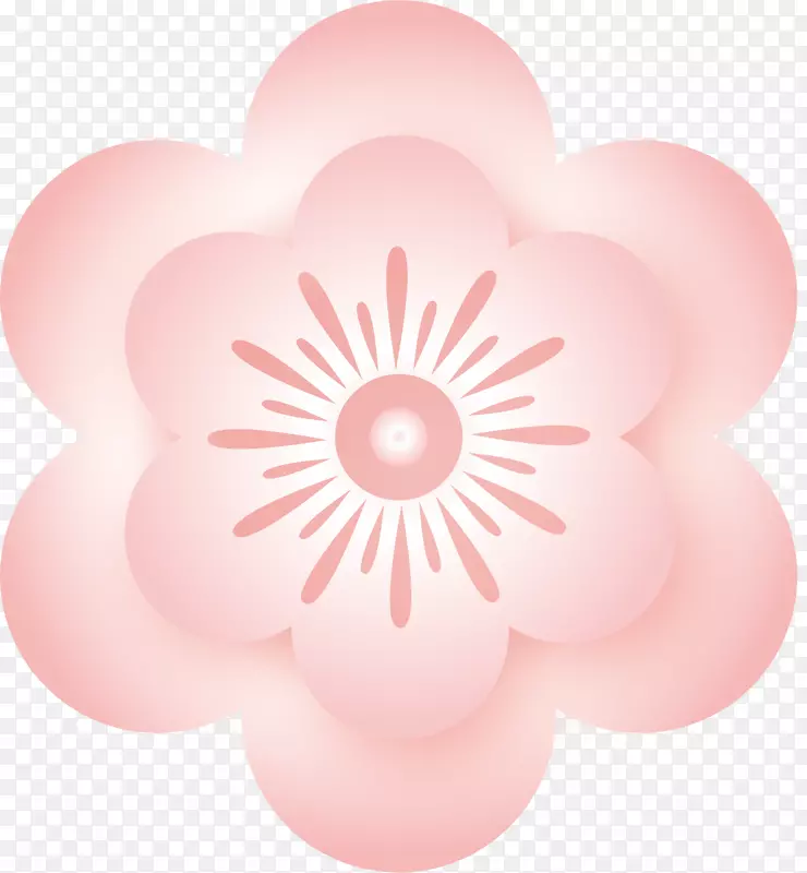 矢量粉色的花朵