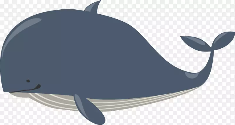 卡通鲸鱼免抠png装饰