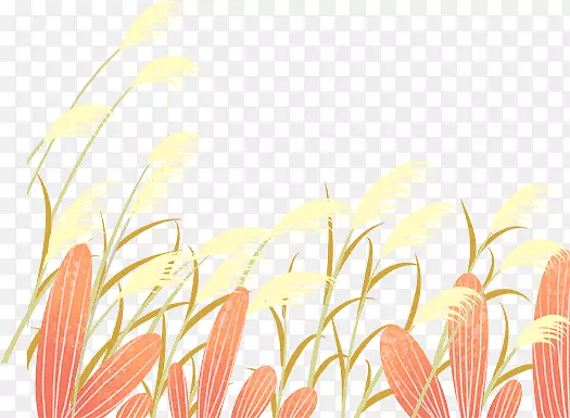 手绘卡通麦子草丛