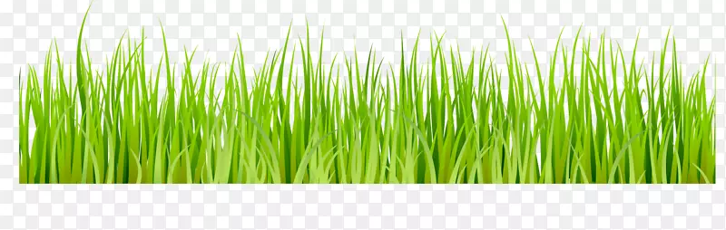春天  绿色草丛  元素