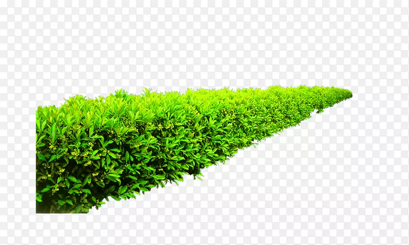绿色清新草丛装饰图案