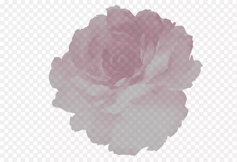 粉色花卉