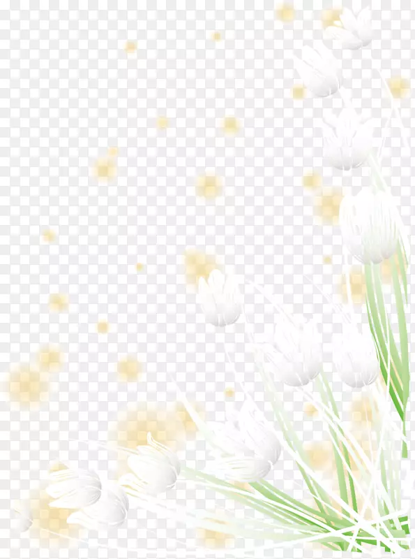小清新白色花朵6