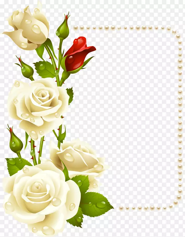 白色玫瑰花与珍珠卡片