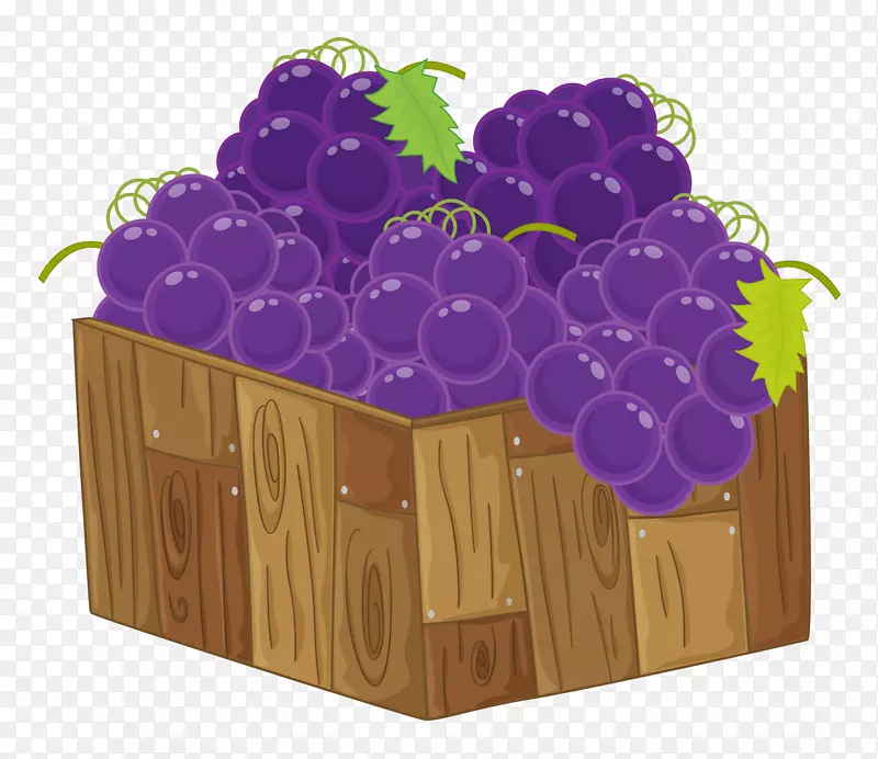 一盒子手绘紫提子