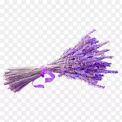 紫色节日薰衣草PNG图片素材下载_图片编号aqnzrwrq-免抠素材网
