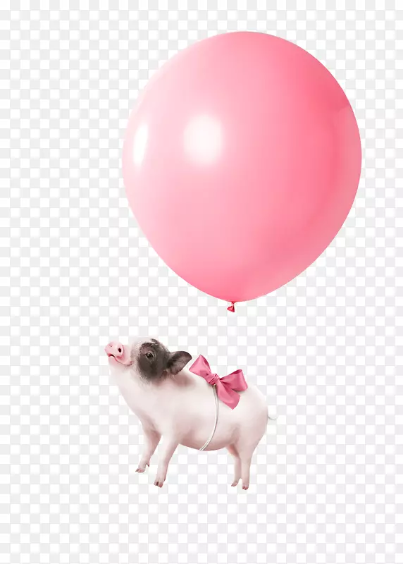 猪年可爱粉色气球的猪海报装饰