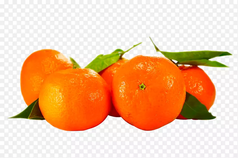 橙子-新鲜的橙子