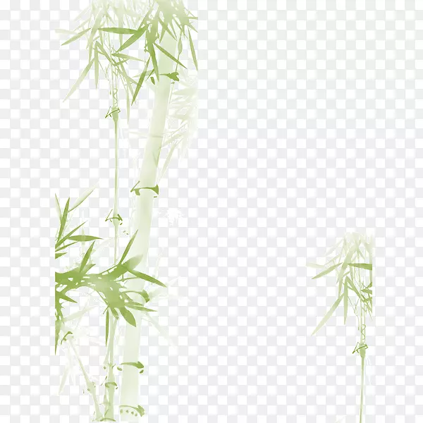 手绘水彩画斑竹素材