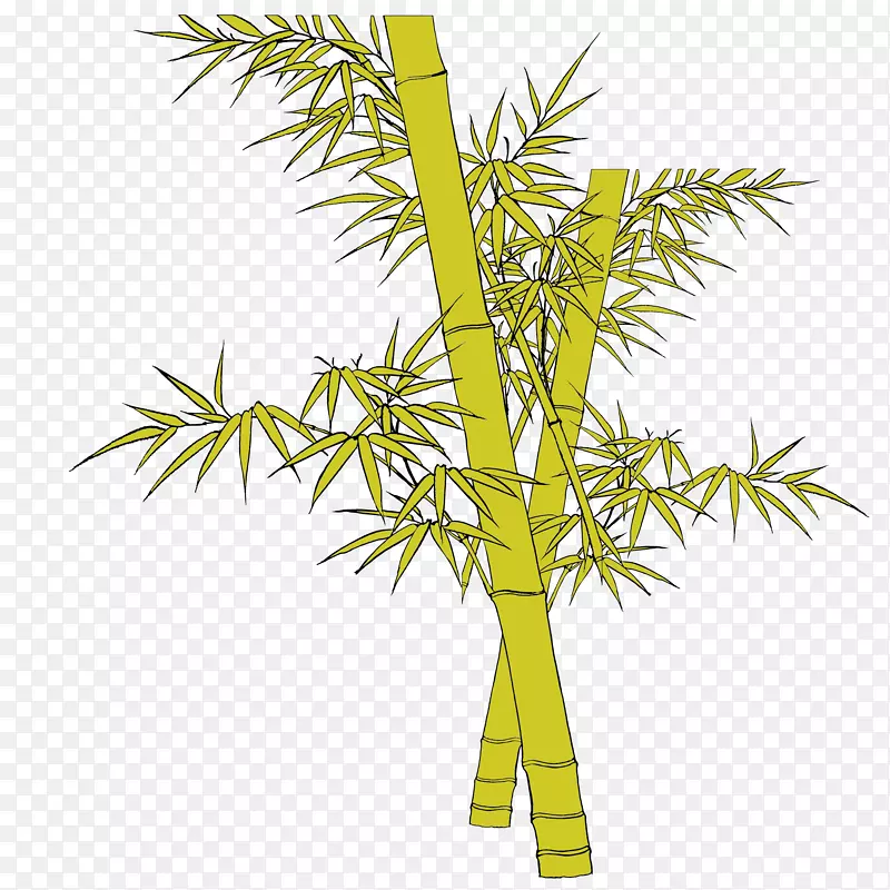 一前一后两根金黄色竹子带竹叶矢