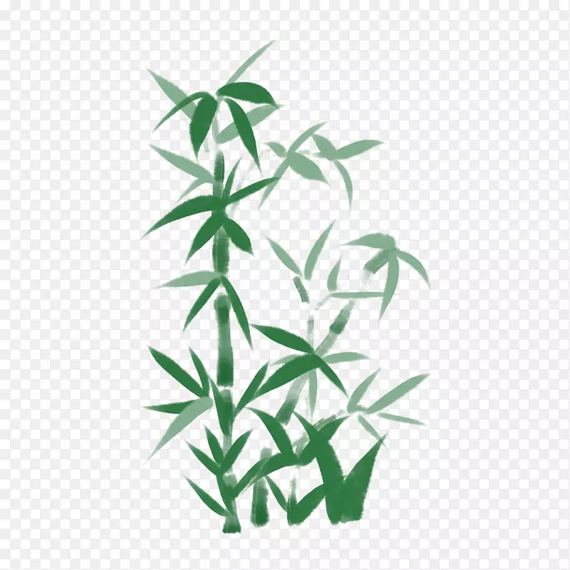 手绘绿色竹子插画
