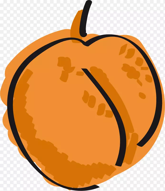 卡通水彩橘色杏子