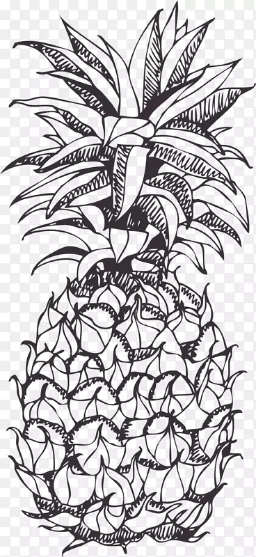 夏季水果手绘菠萝