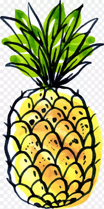 夏季手绘黄色菠萝