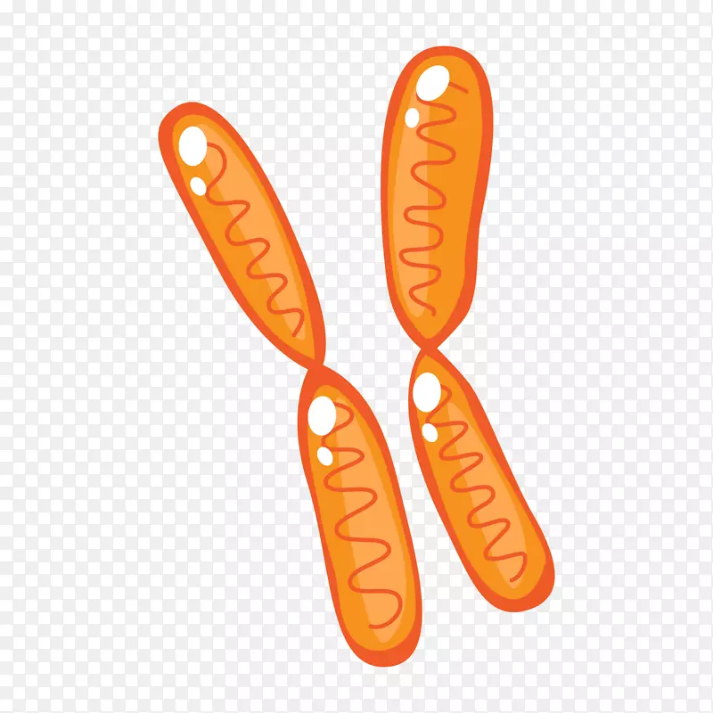 黄色手绘染色体元素