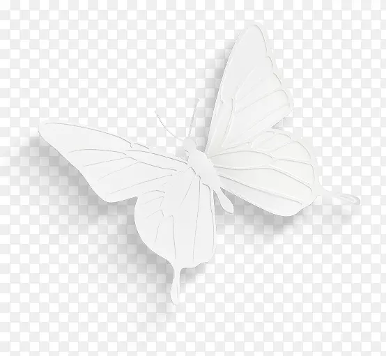 白色纸质蝴蝶