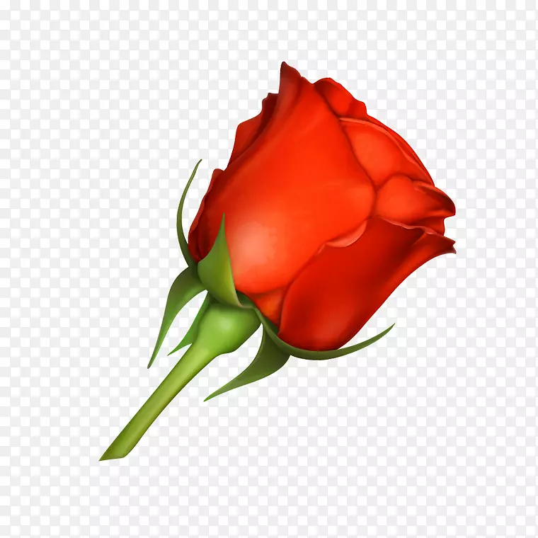 红色手绘玫瑰鲜花
