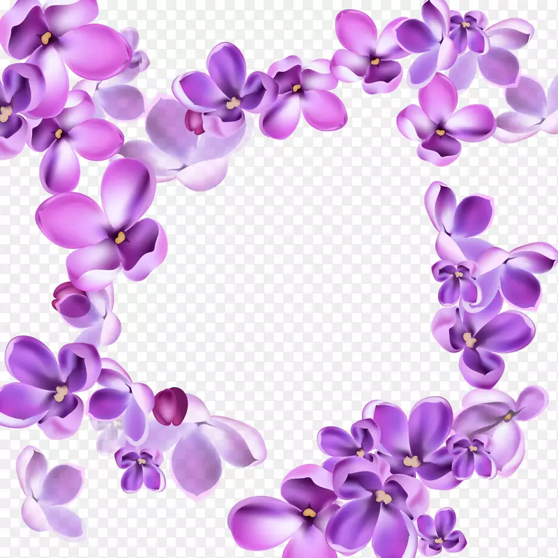 矢量紫丁香