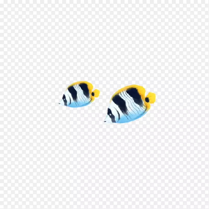 两支蓝黄色热带鱼