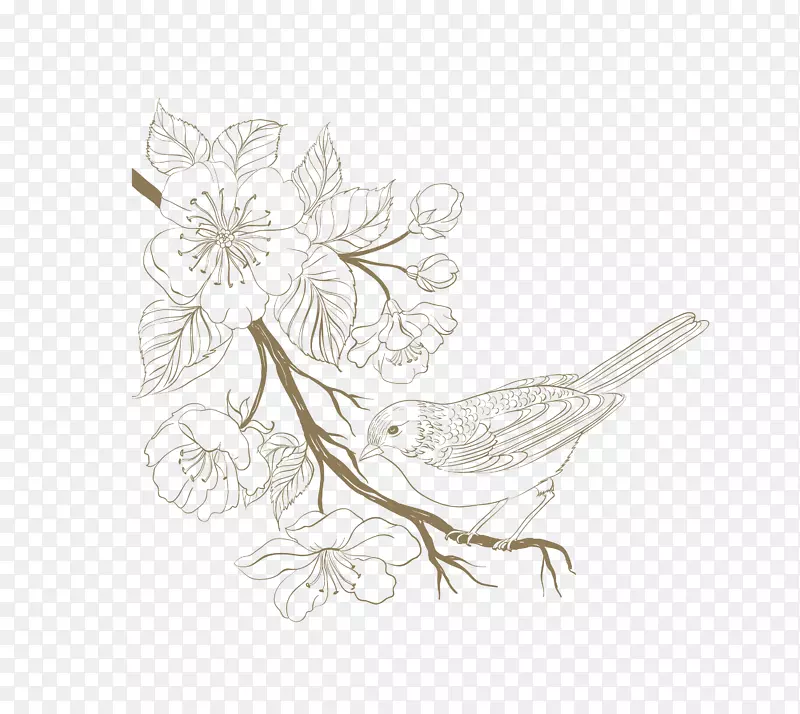 卡通白色的花朵与鸟