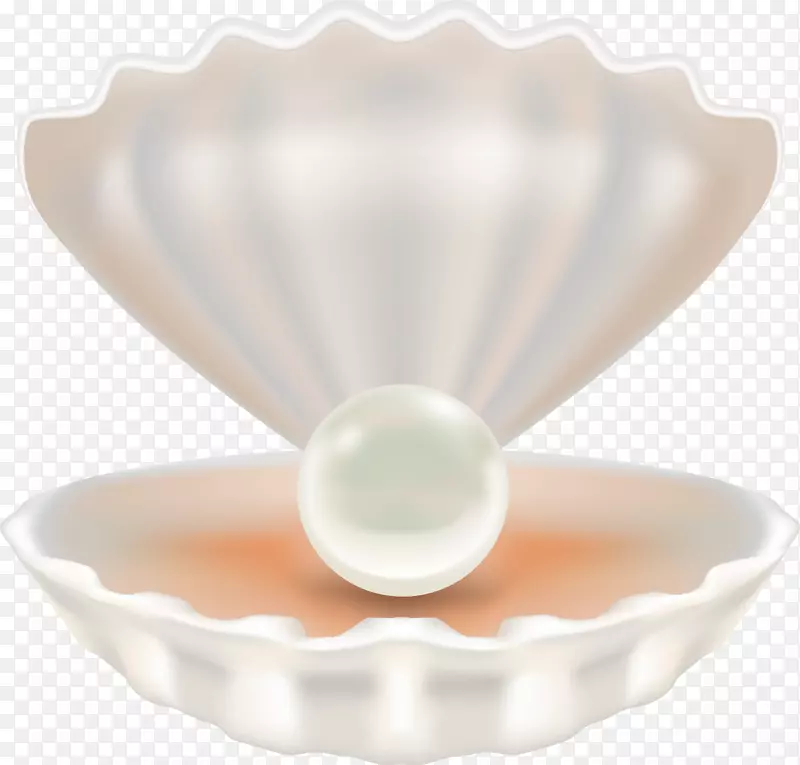 装着大珍珠的白色贝壳