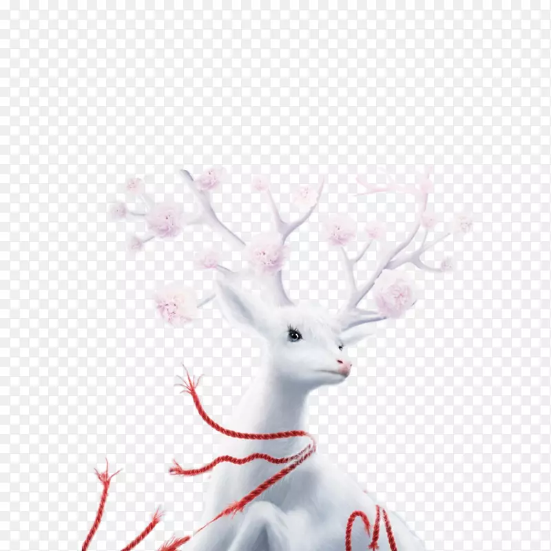白色麋鹿