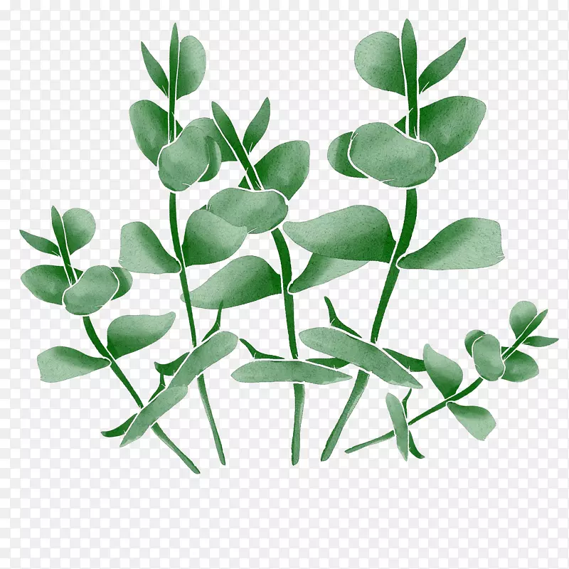 绿色植物装饰树叶PNG图片素材下载_图片编号gqxdlvrq-免抠素材网