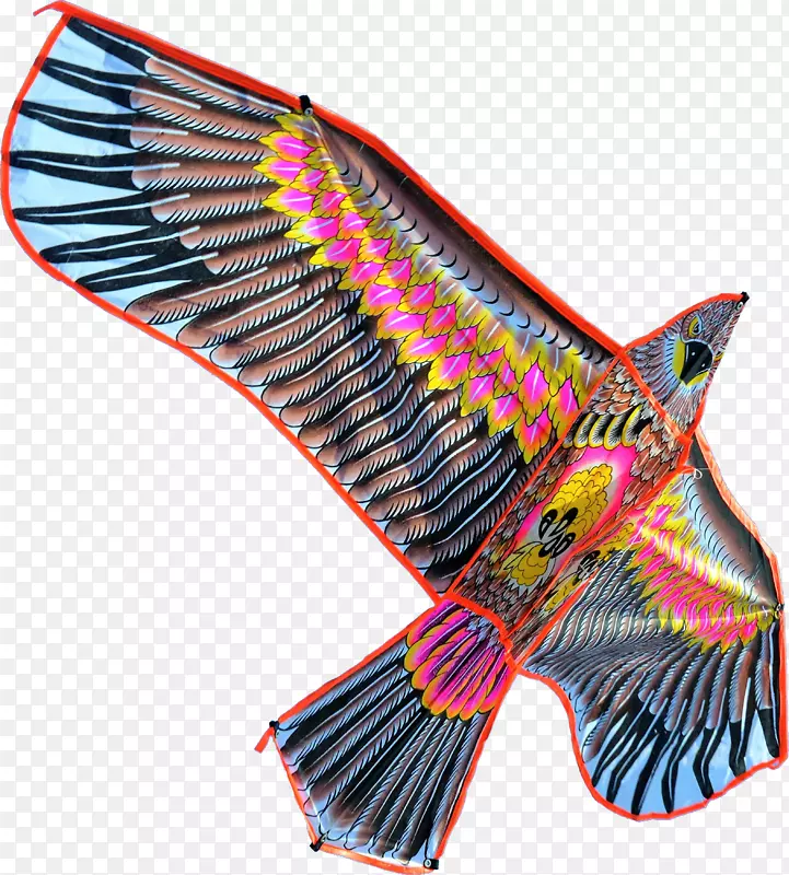 空中的老鹰风筝