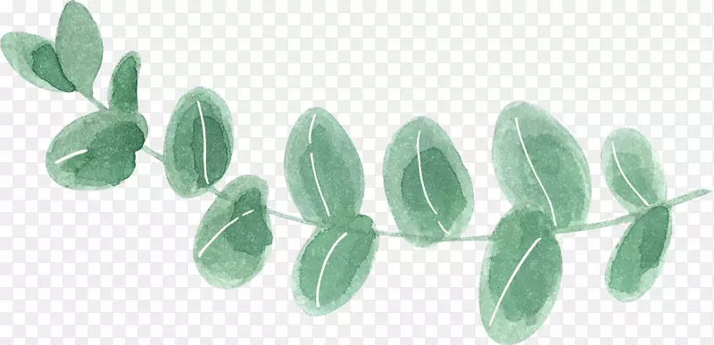 横条的可爱创意植物