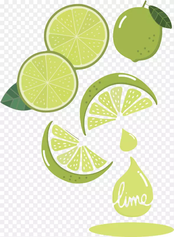 绿色美味的水果柠檬片卡通
