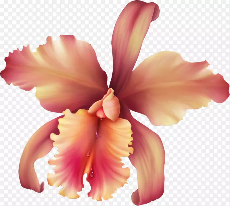 手绘鲜花春季素材18